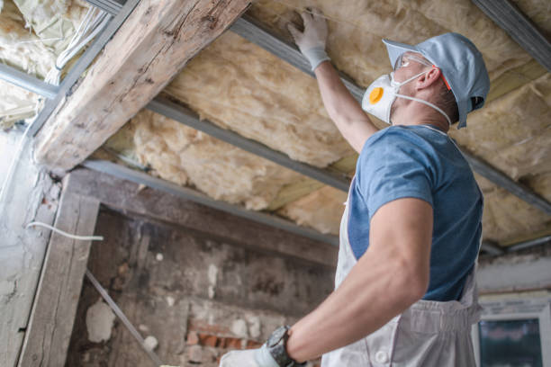 Best Insulation Maintenance and Repair in Lake Morton Berrydale, WA