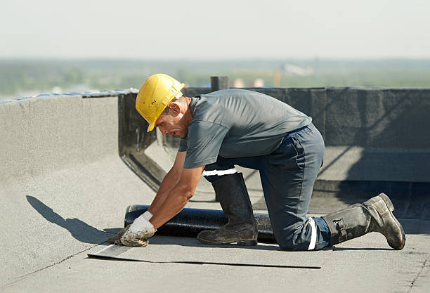 Best Residential Insulation in Lake Morton Berrydale, WA